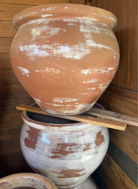 Tibor ceramic planter at Casa Del Lobo