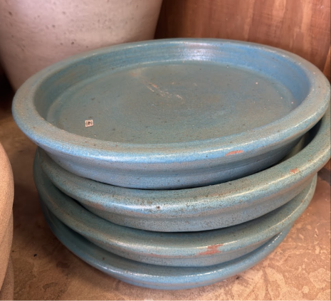 Saucer ceramic planter at Casa Del Lobo
