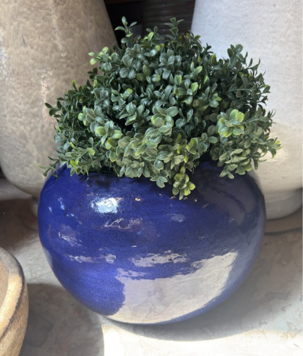 Bowl Pot ceramic planter at Casa Del Lobo